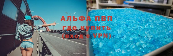 прущие грибы Осташков