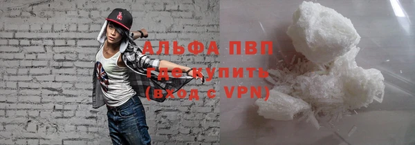 прущие грибы Осташков