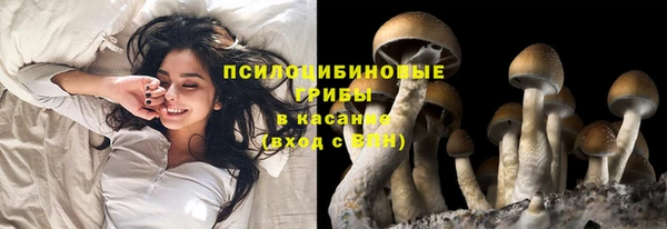 прущие грибы Осташков