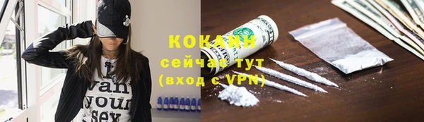 прущие грибы Осташков