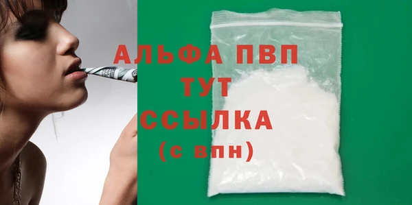 прущие грибы Осташков