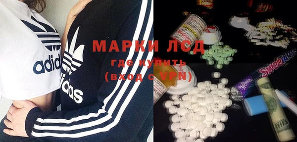 прущие грибы Осташков