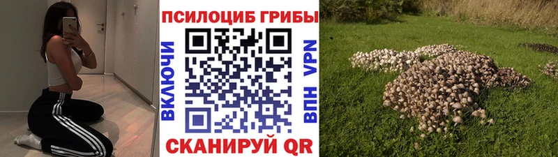 Галлюциногенные грибы мухоморы  продажа наркотиков  Прохладный 