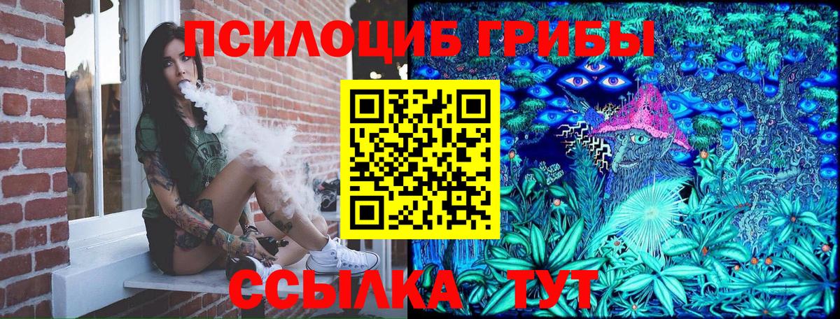 Галлюциногенные грибы мицелий Прохладный