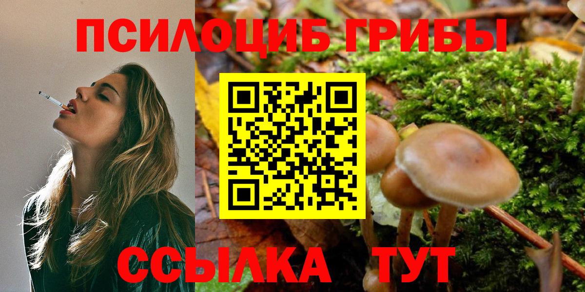 Псилоцибиновые грибы Magic Shrooms  Прохладный  Псилоцибиновые грибы ЛСД 